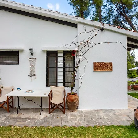 The Gift Sani Sani (Chalkidiki)