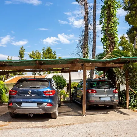 The Gift Sani Sani (Chalkidiki)